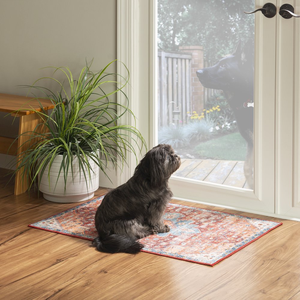 Washable Carter Rust/Ivory 2x3, Rug. Picture 1