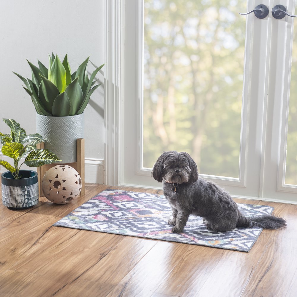 Outdoor Washable Grayton Ivory & Charcoal 2' X 3', Rug. Picture 2