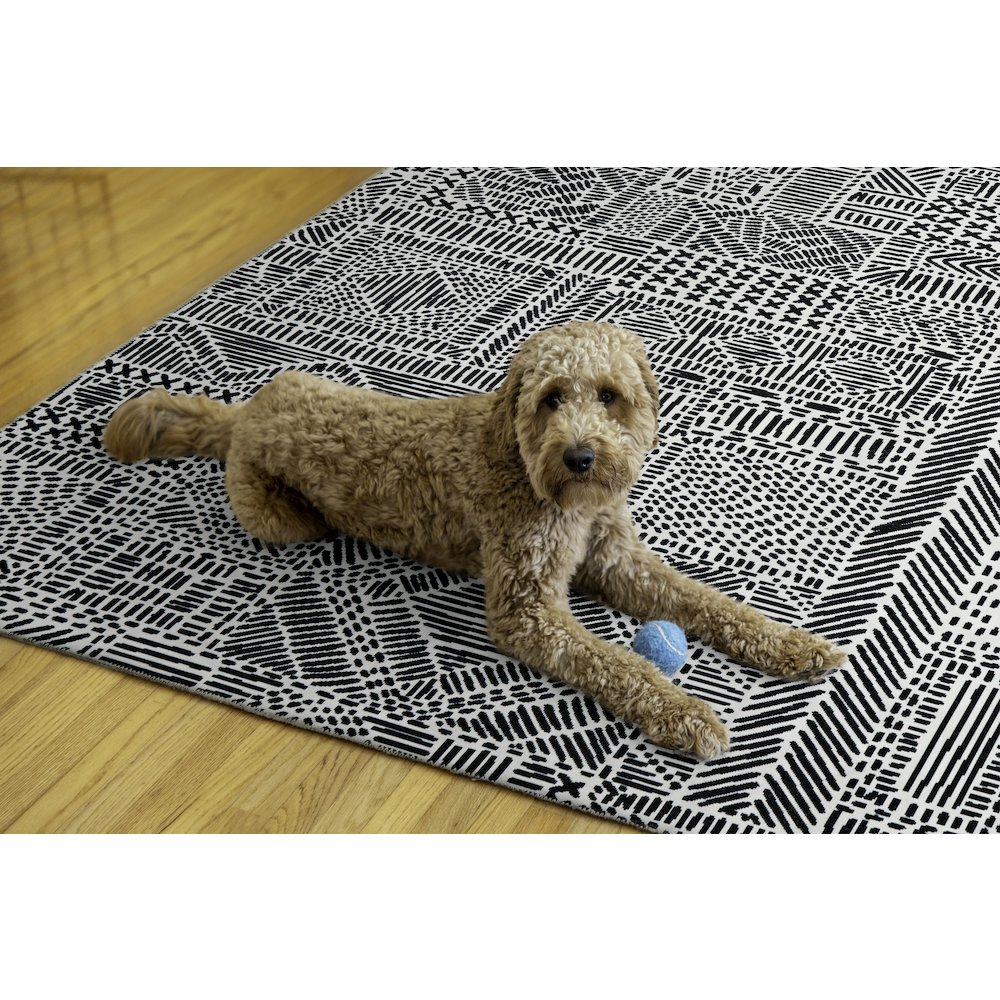 Washable Cayden Ivory/Black 5x7, Rug. Picture 1