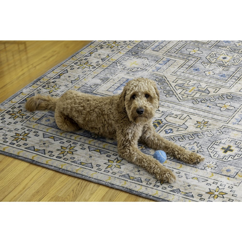 Washable Parson Grey/Beige 5x7, Rug. Picture 2