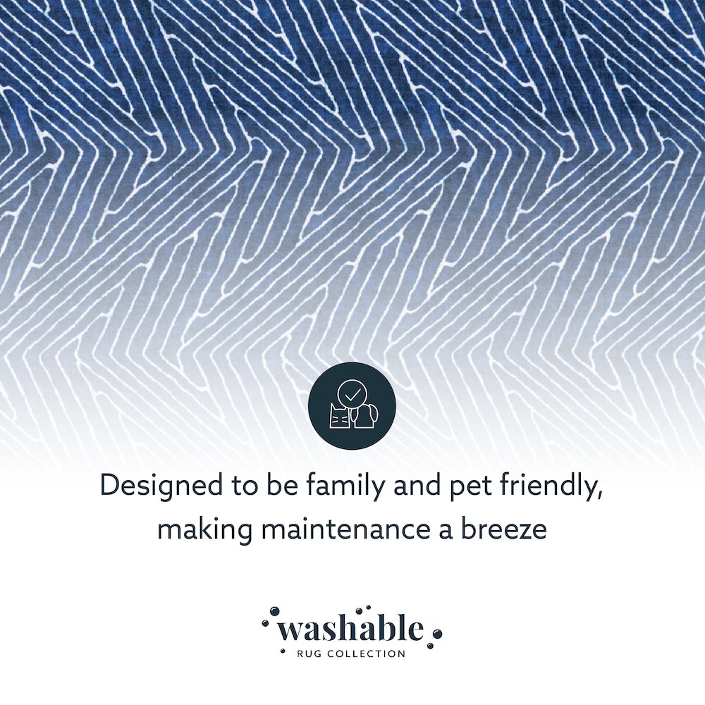 Washable Fuller Blue/Ivory 3x5, Rug. Picture 8