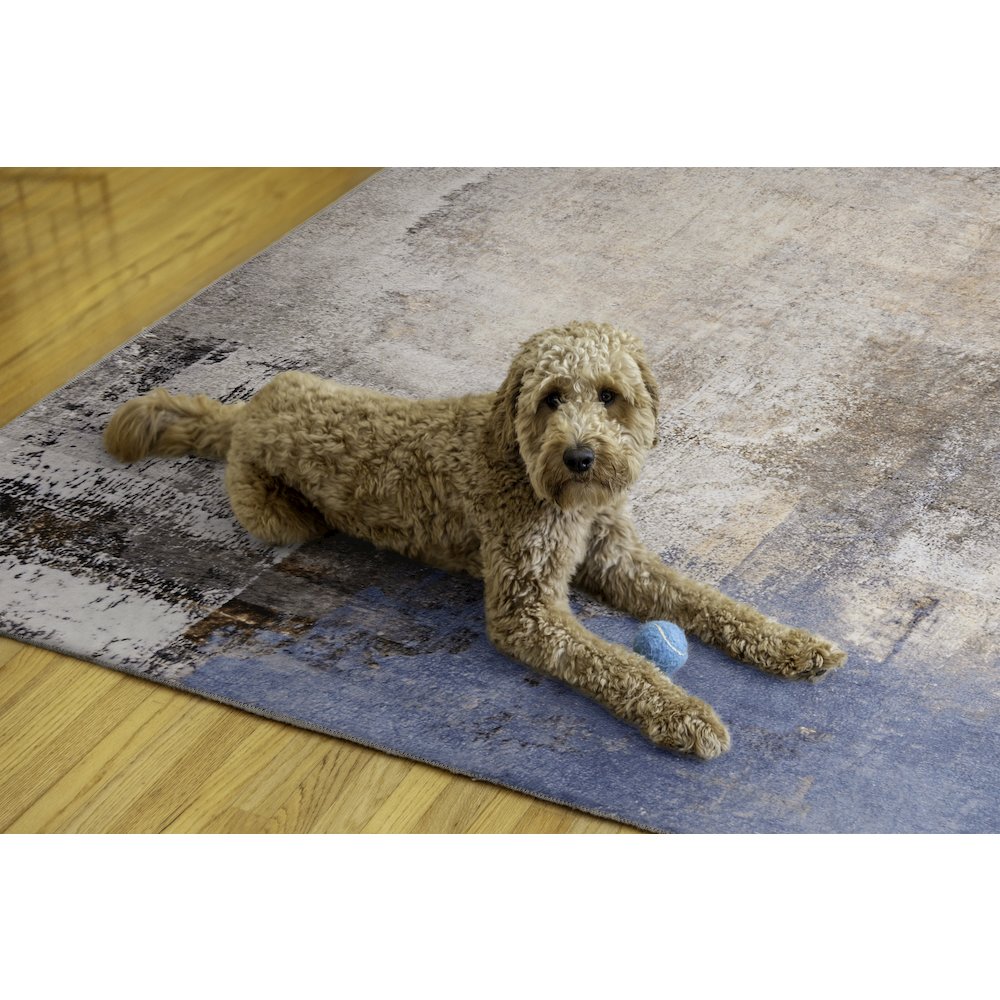 Washable Kyler Beige/Blue 5x7, Rug. Picture 2