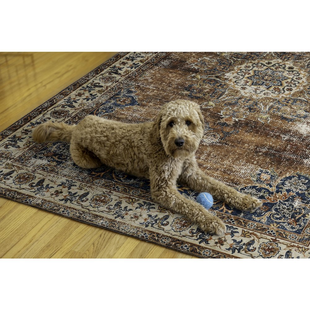 Washable Foster Russet/Ivory 5x7, Rug. Picture 2
