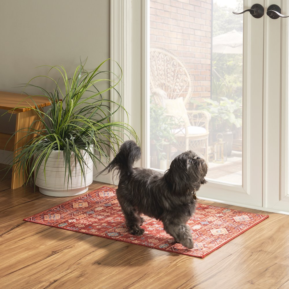Washable Devlin Red/Ivory 2x3, Rug. Picture 1