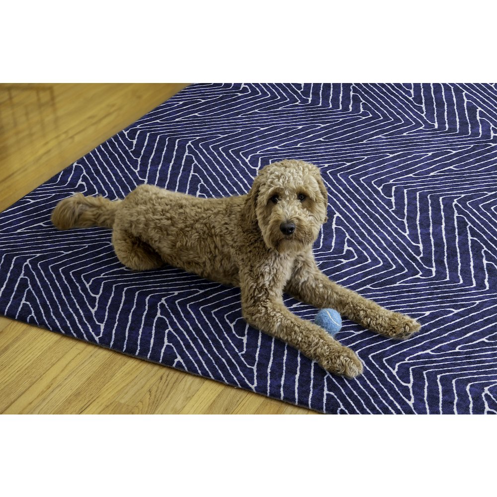 Washable Fuller Blue/Ivory 5x7, Rug. Picture 2