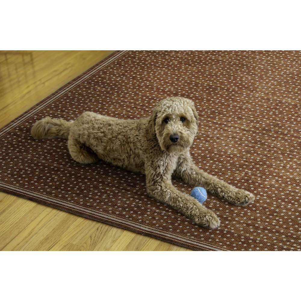 Outdoor Washable Estero Orange & Ivory 5' X7', Rug. Picture 2