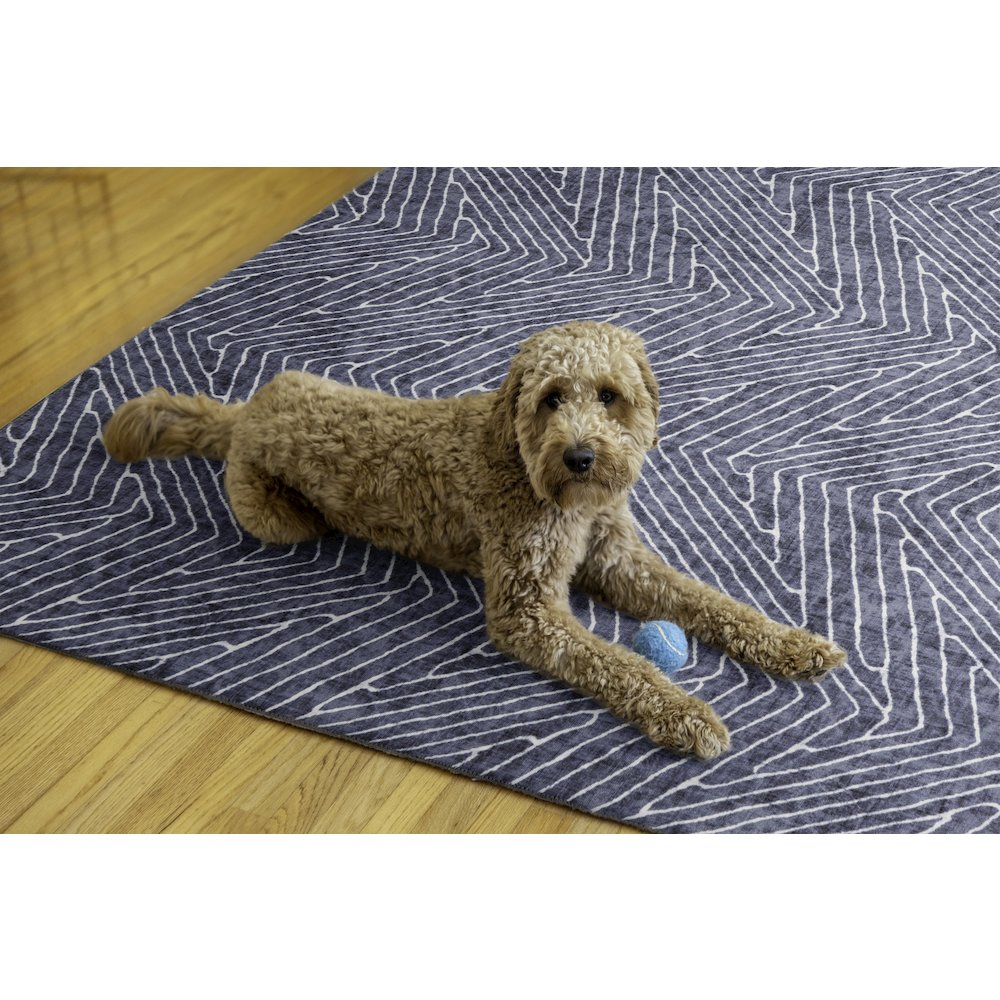 Washable Fuller Grey/Ivory 5x7, Rug. Picture 2