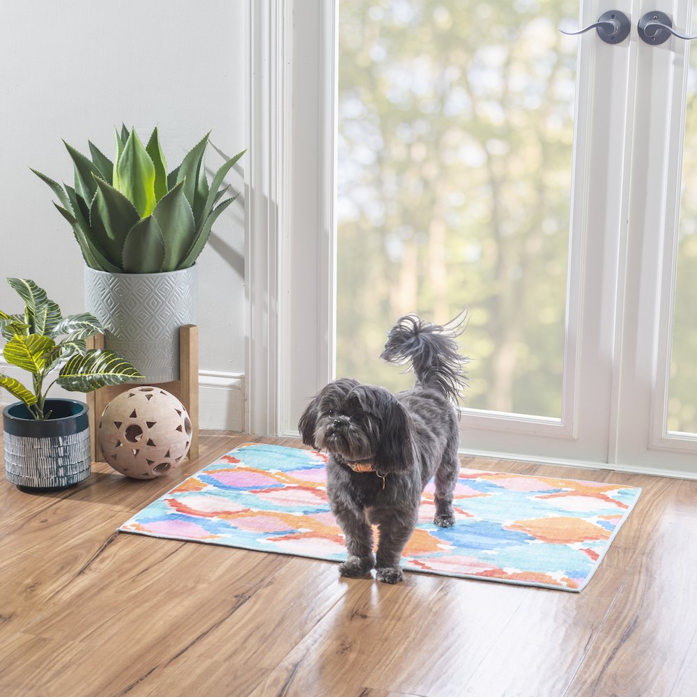 Outdoor Washable Panama Aqua & Orange 2' X 3', Rug. Picture 2