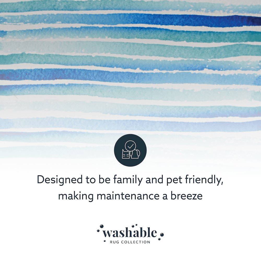 Washable Janna Ivory/Blue 3x5, Rug. Picture 8