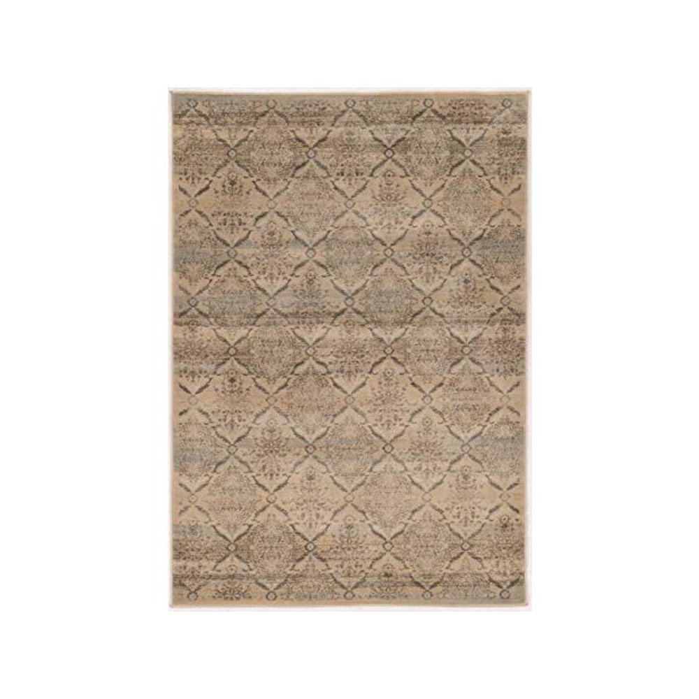 Jewel Trellis Beige & Blue 8x10.3, Rug. Picture 1