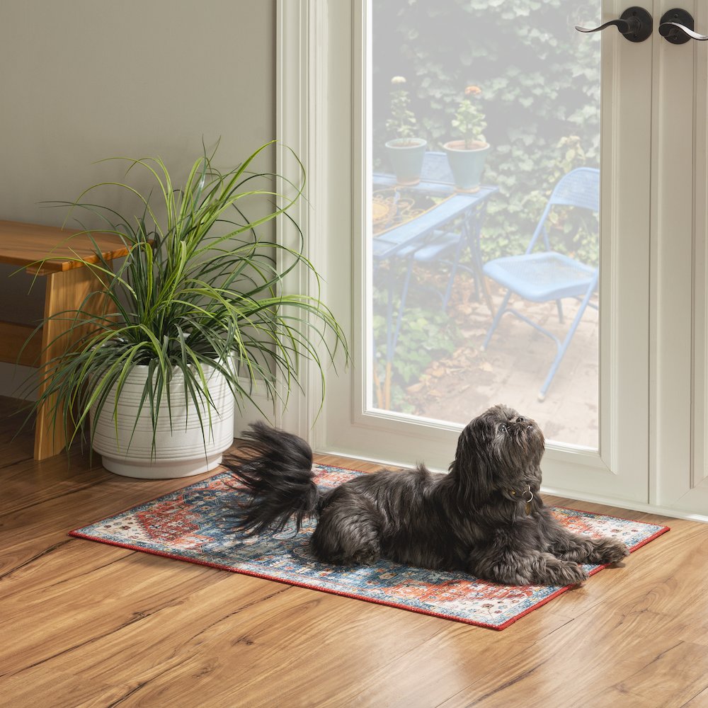 Washable Markum Teal/Rust 2x3, Rug. Picture 1