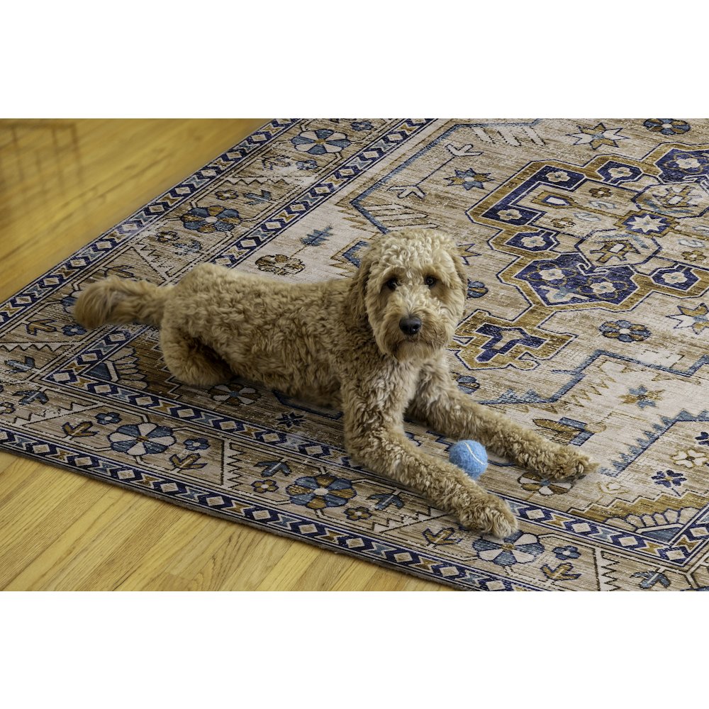 Washable Julian Ivory/Gold 5x7, Rug. Picture 2