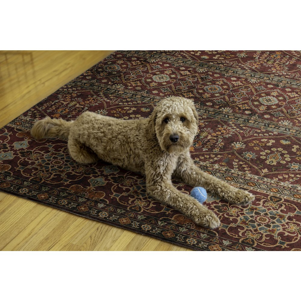 Washable Neil Garnet/Ivory 5x7, Rug. Picture 2