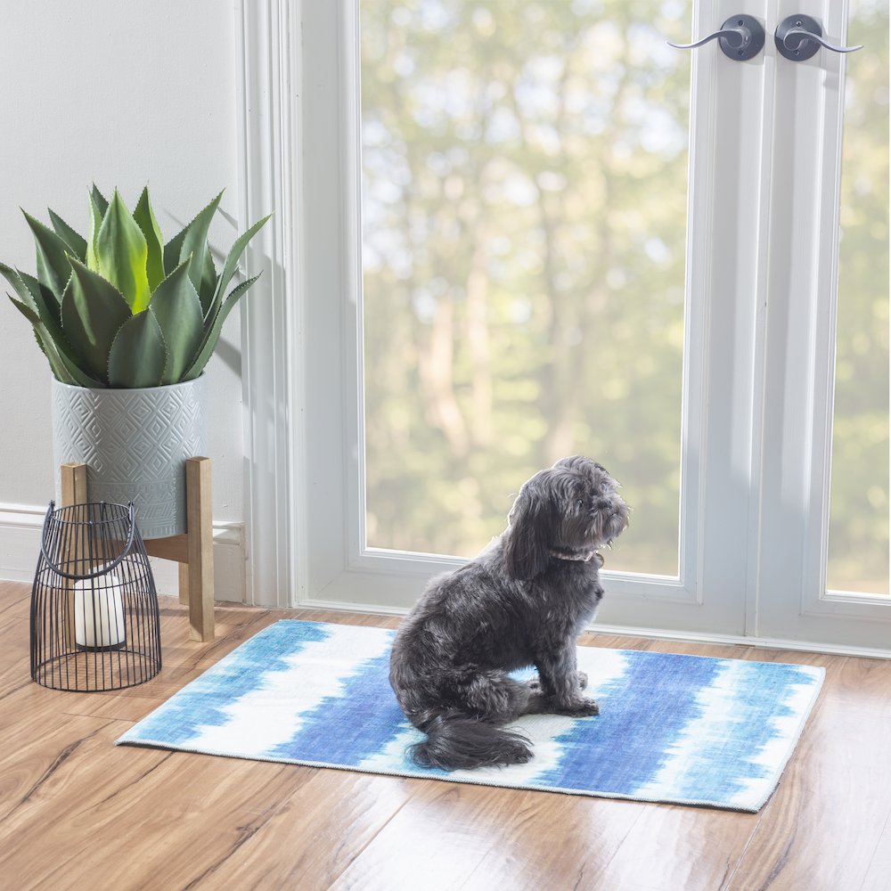 Outdoor Washable Apopka Ivory & Blue 2' X 3', Rug. Picture 2