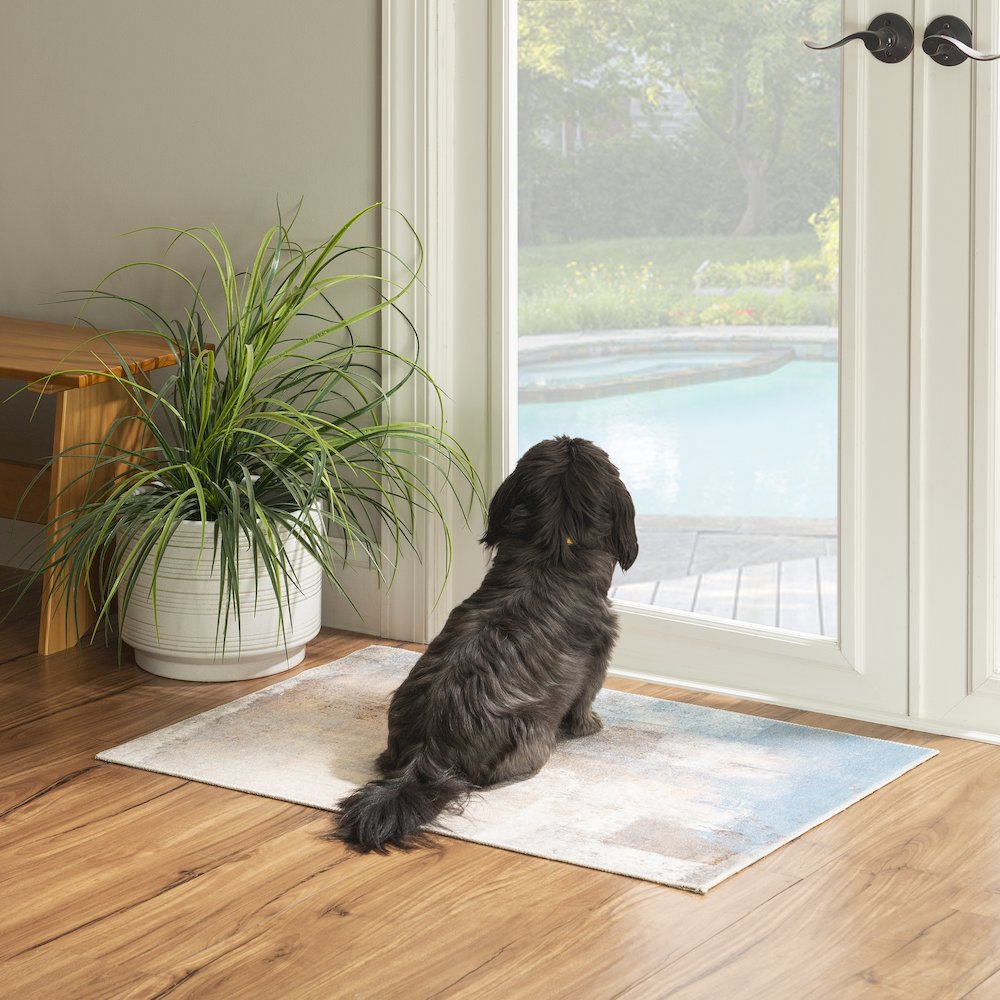 Washable Kyler Beige/Blue 2x3, Rug. Picture 1