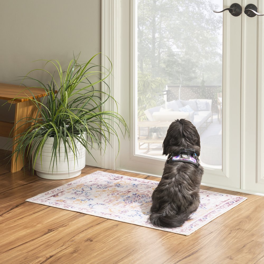 Washable Micah Pink/Gold 2x3, Rug. Picture 1