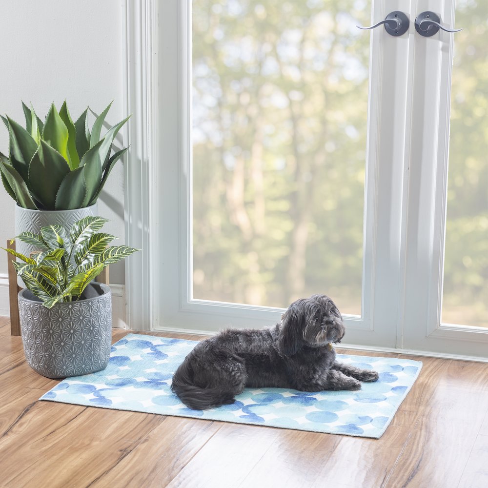 Outdoor Washable Lakeland Blue & Ivory 2' X 3', Rug. Picture 2