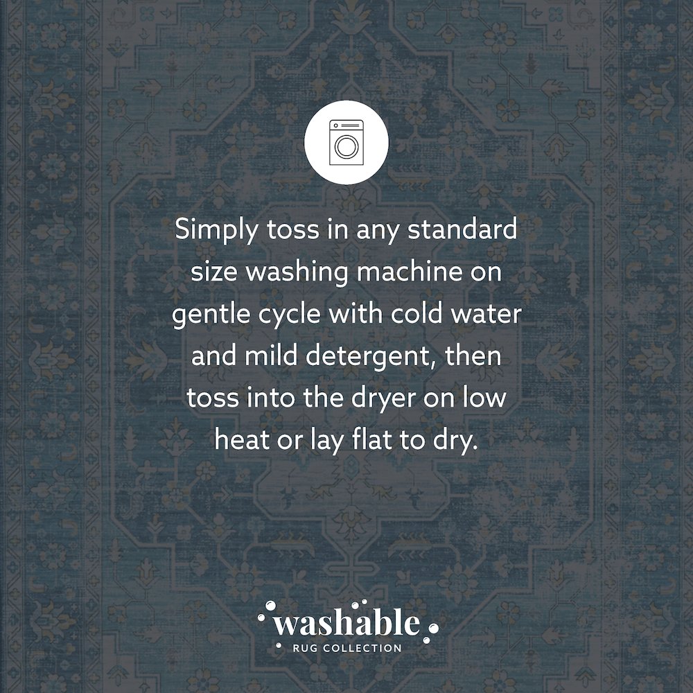 Washable Sariah Teal/Ivory 5x7, Rug. Picture 9