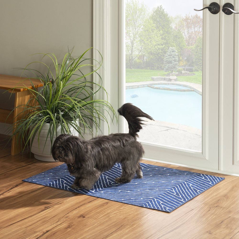 Washable Fuller Blue/Ivory 2x3, Rug. Picture 1