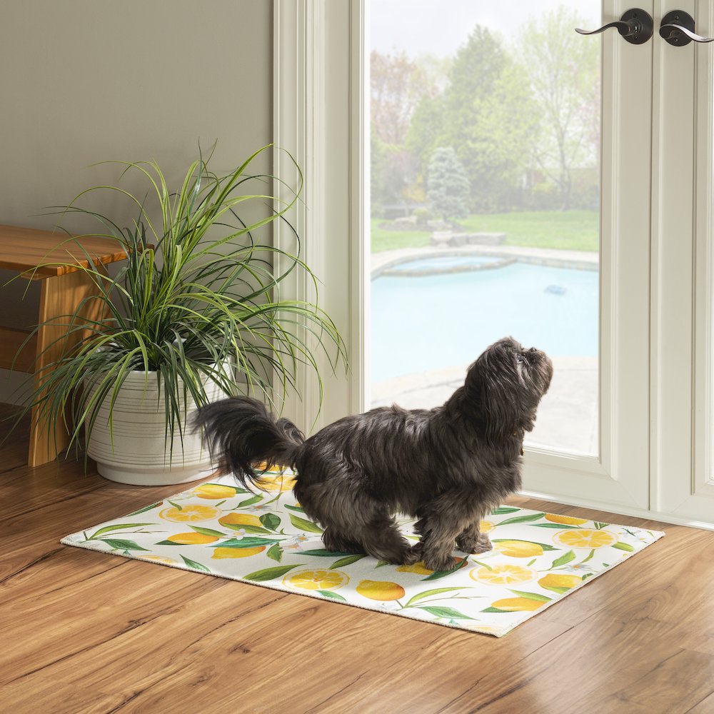Washable Sumner Ivory/Yellow 2x3, Rug. Picture 1