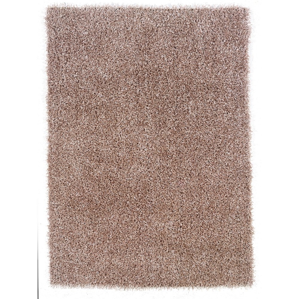 ConfettiShag Champagne 8x10, Rug. Picture 1