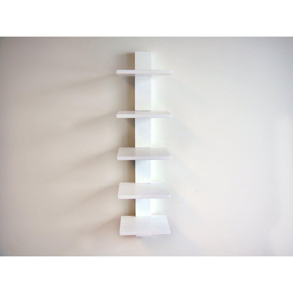Spine Book Shelf. Picture 4