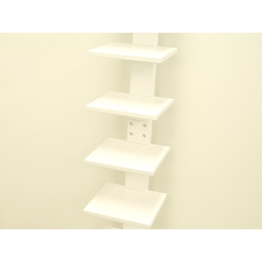 Spine Book Shelf. Picture 3