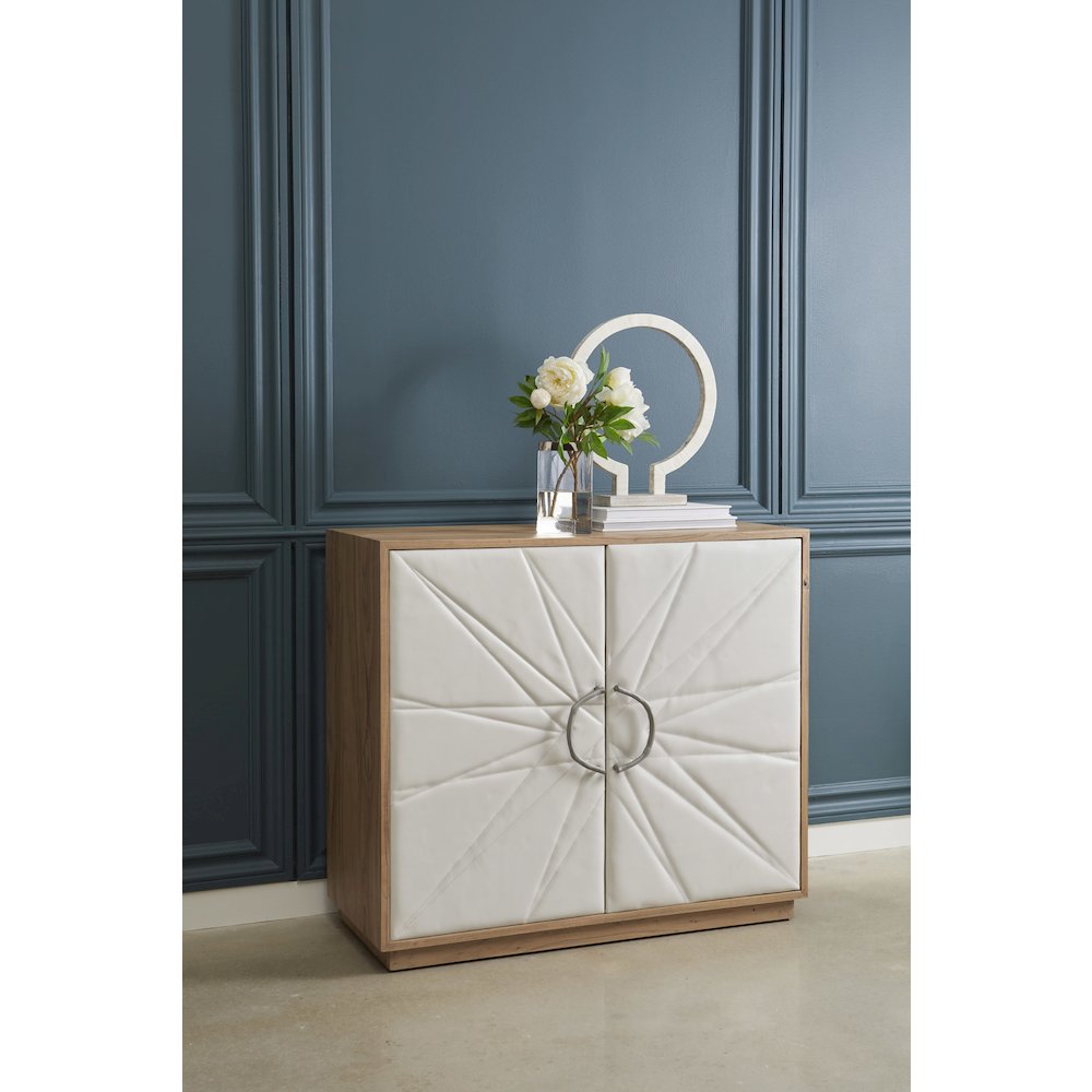 Two Door Leather Chest. Picture 7