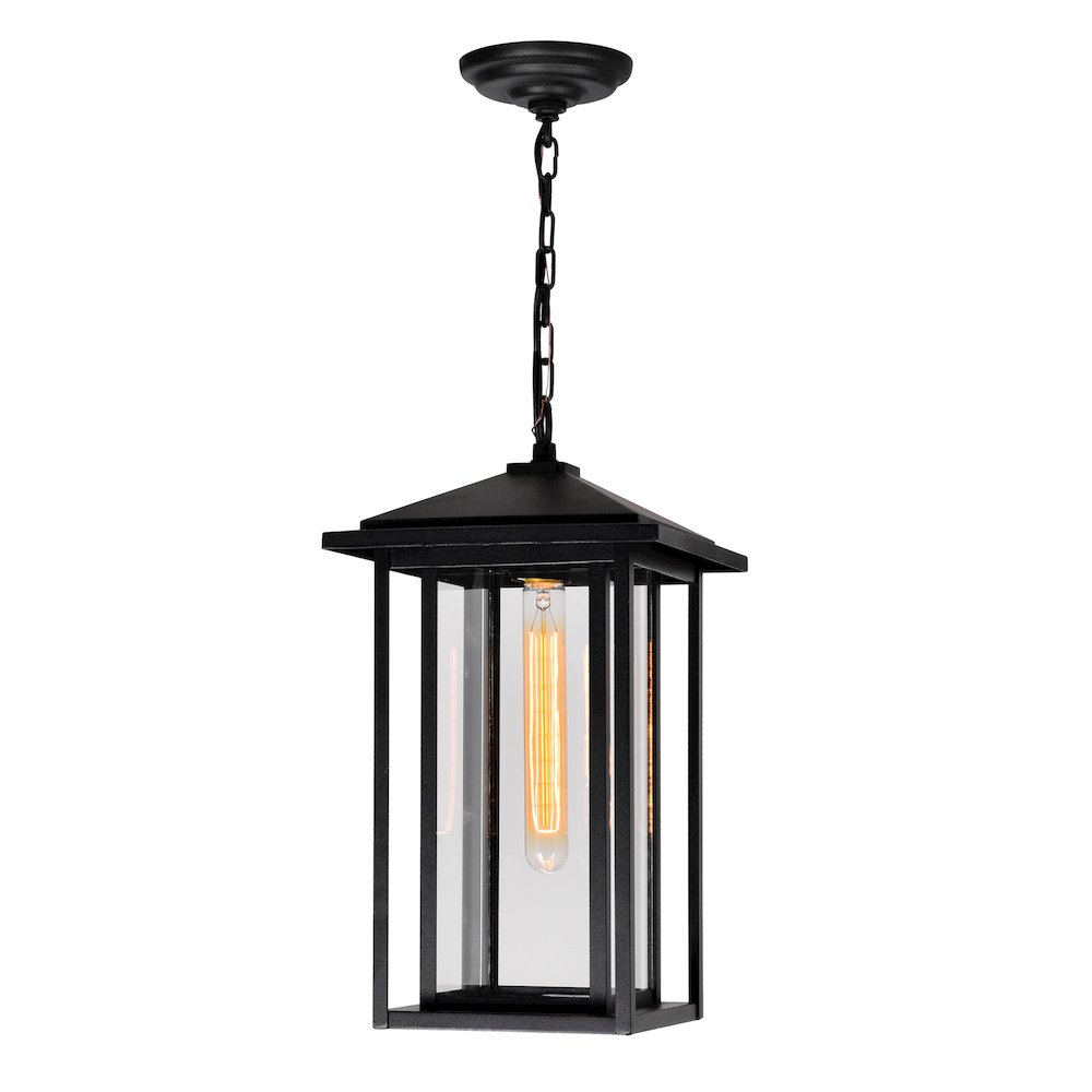 Crawford 1 Light Black Outdoor Hanging Light. Picture 1