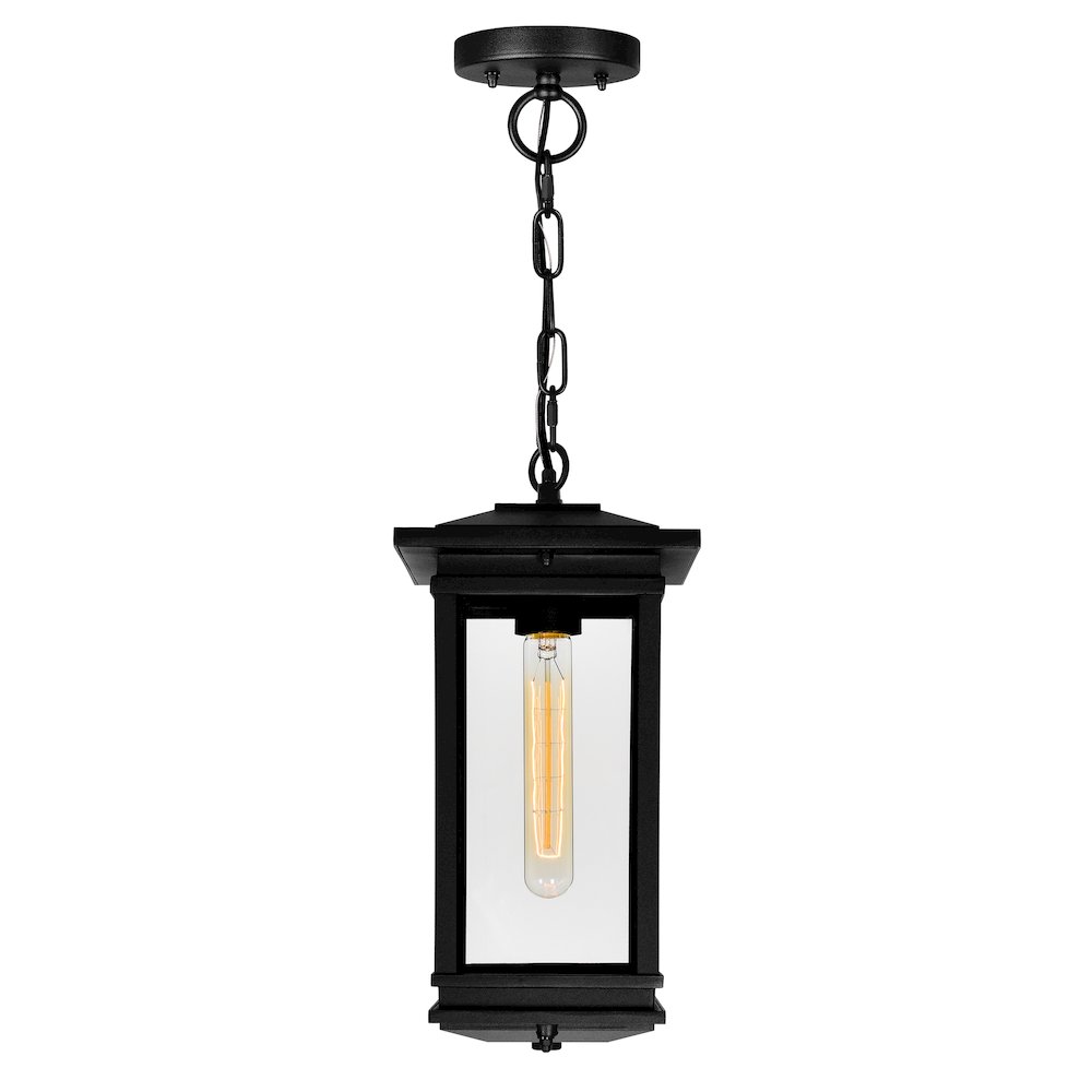 Oakwood 1 Light Outdoor Black Pendant. Picture 2