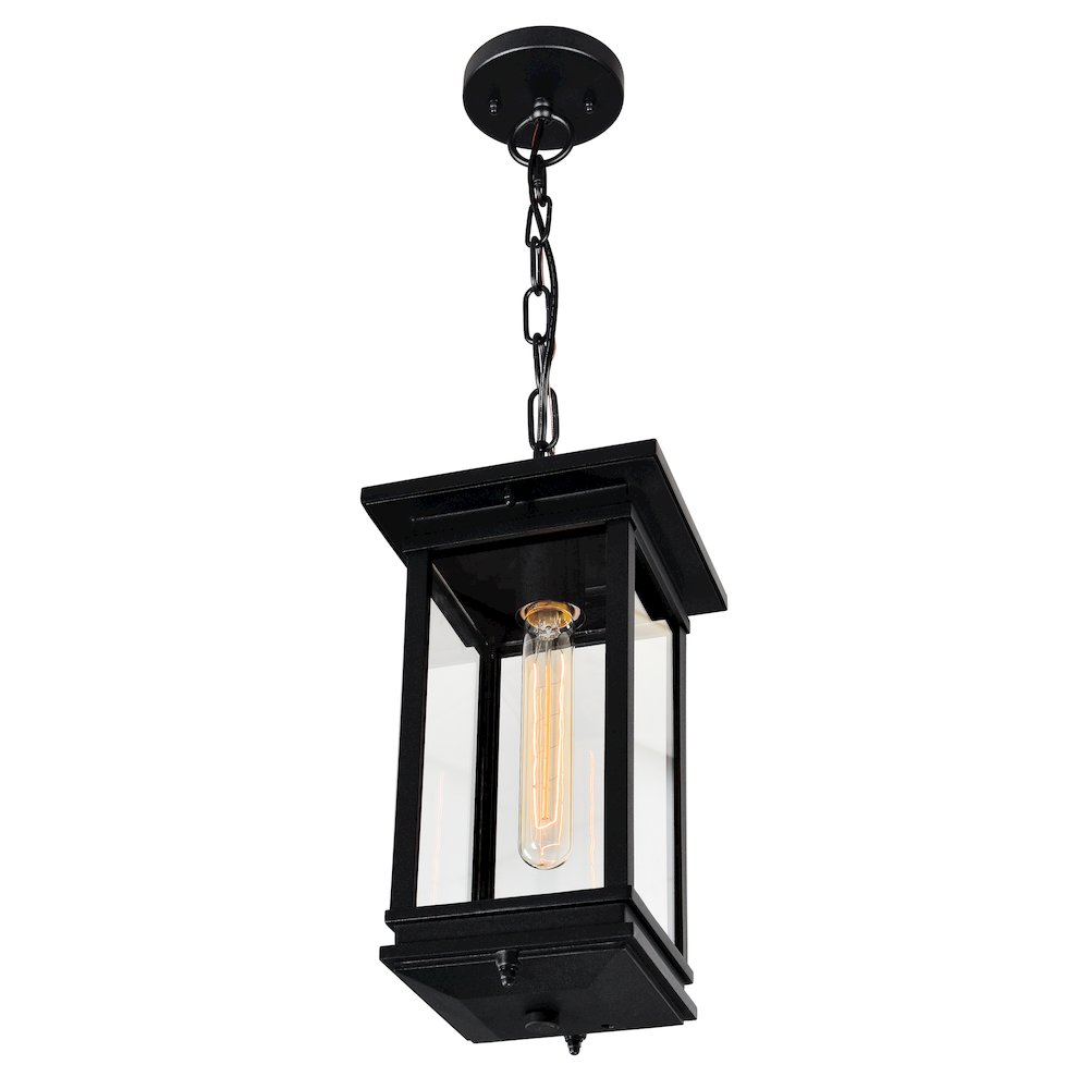 Oakwood 1 Light Outdoor Black Pendant. Picture 4