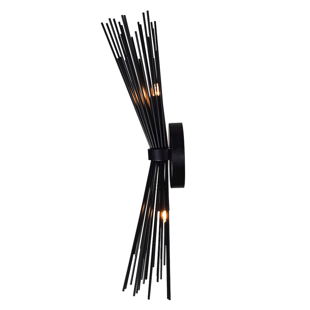 Savannah 2 Light Wall Sconce With Black Finish. Picture 5