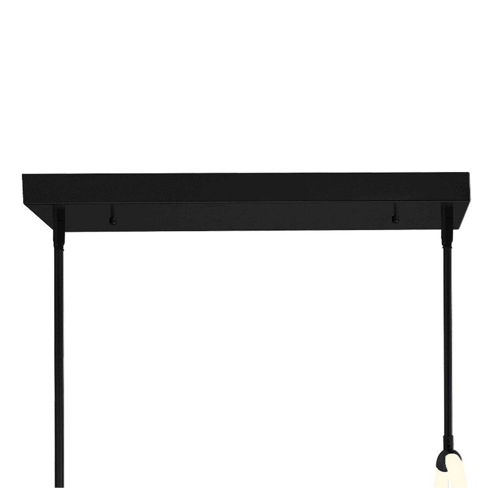 Hoops 2 Light LED Chandelier With Black Finish. Picture 5