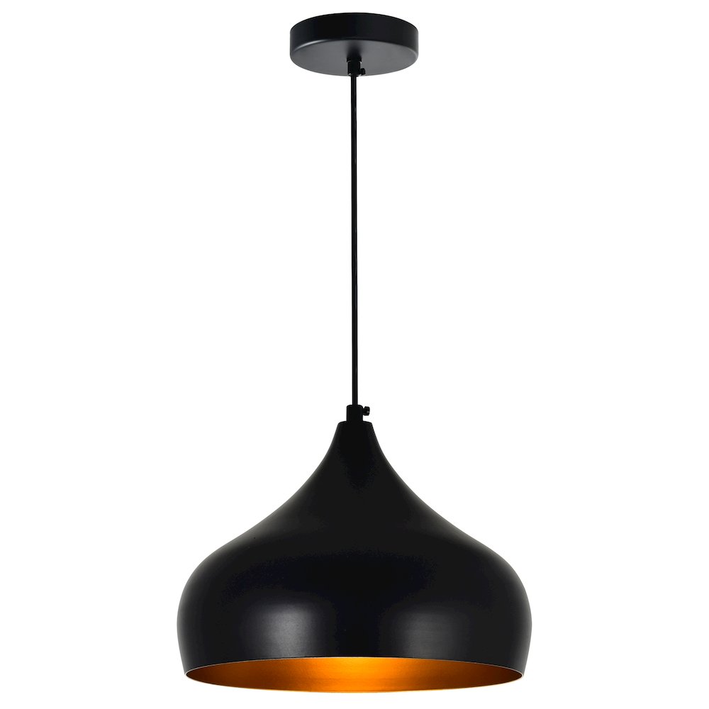 Dynamic 1 Light Down Pendant With Black Finish. Picture 1