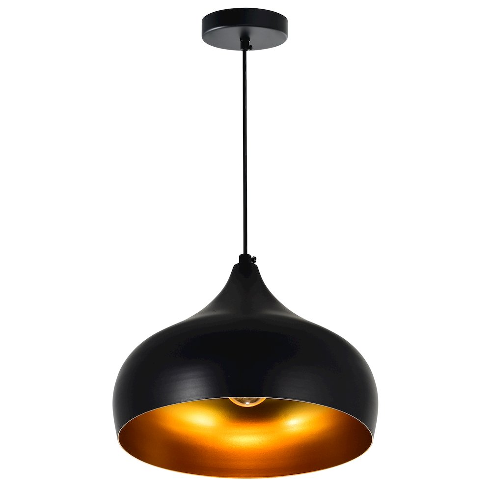 Dynamic 1 Light Down Pendant With Black Finish. Picture 2