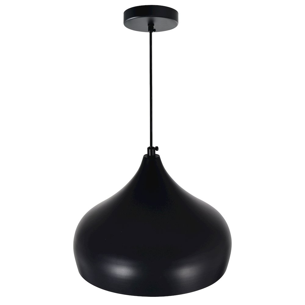 Dynamic 1 Light Down Pendant With Black Finish. Picture 3
