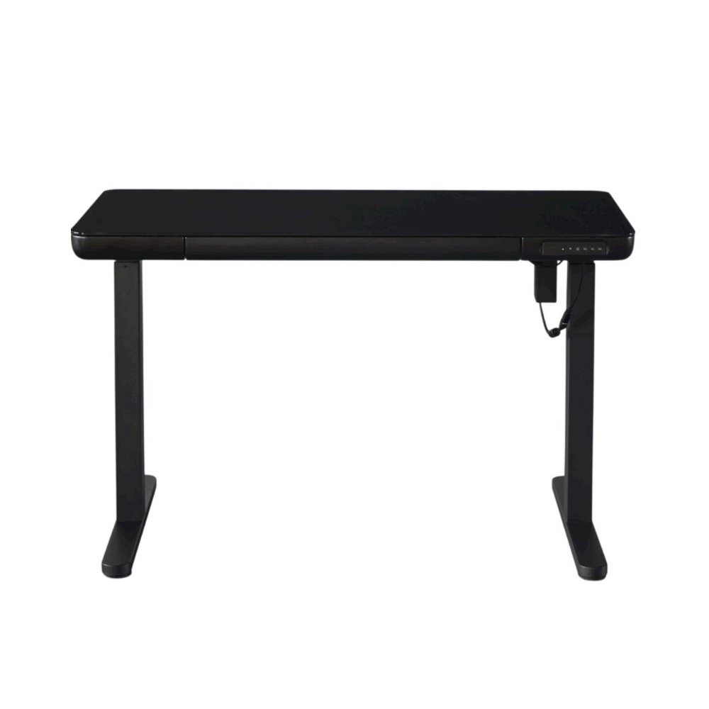 48" Electric Height Adjustable Standing Desk With Tempered Glass Top，Black. Picture 1