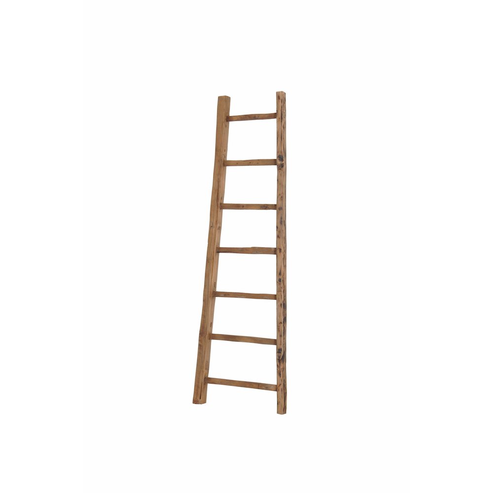 D-Bodhi Ladder. Picture 1