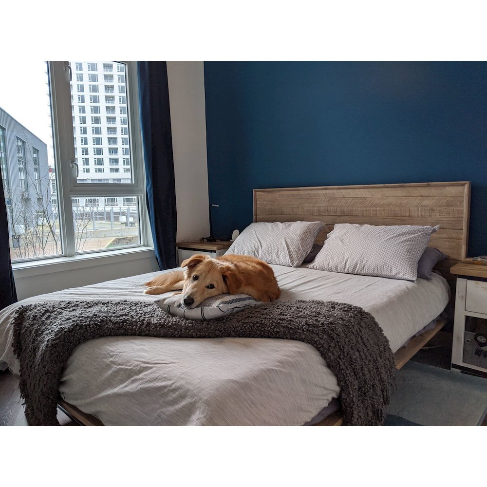 Gia King Bed - Light Driftwood. Picture 18