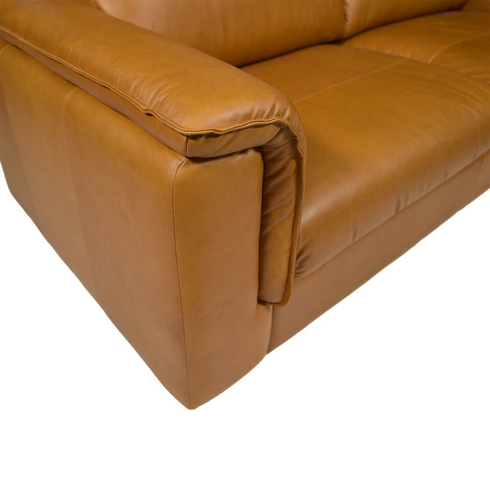 Jackson Sofa - Tan. Picture 8
