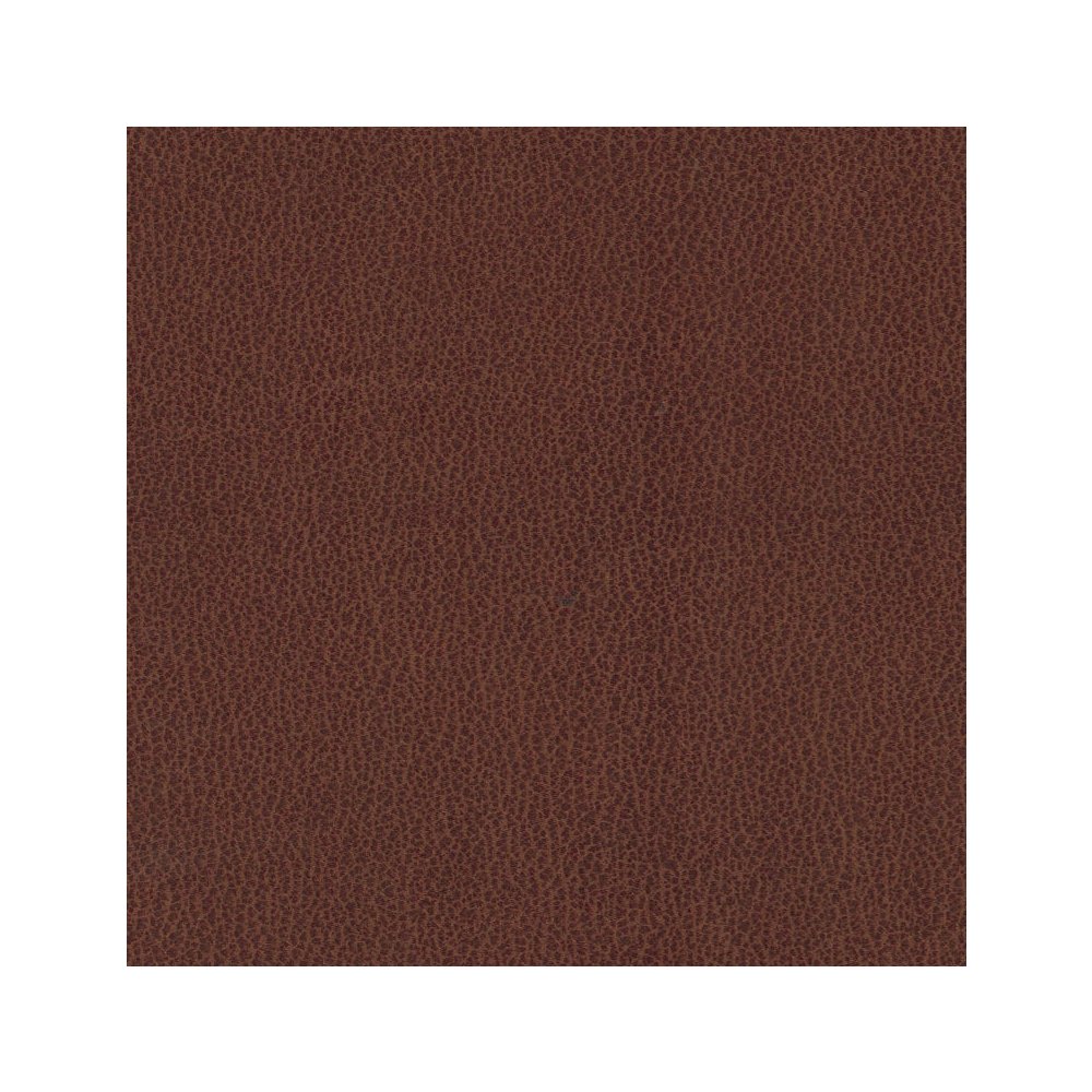 Fraser Dining Chair - Tan Brown. Picture 5