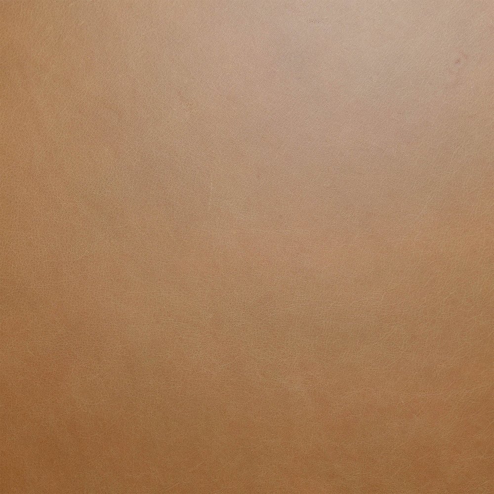 Jackson Sofa - Tan. Picture 10