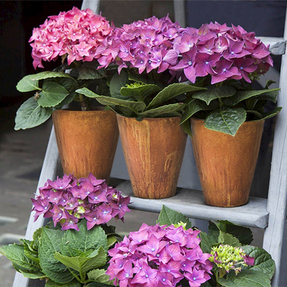 Rustic Medium Vase - Corten. Picture 4