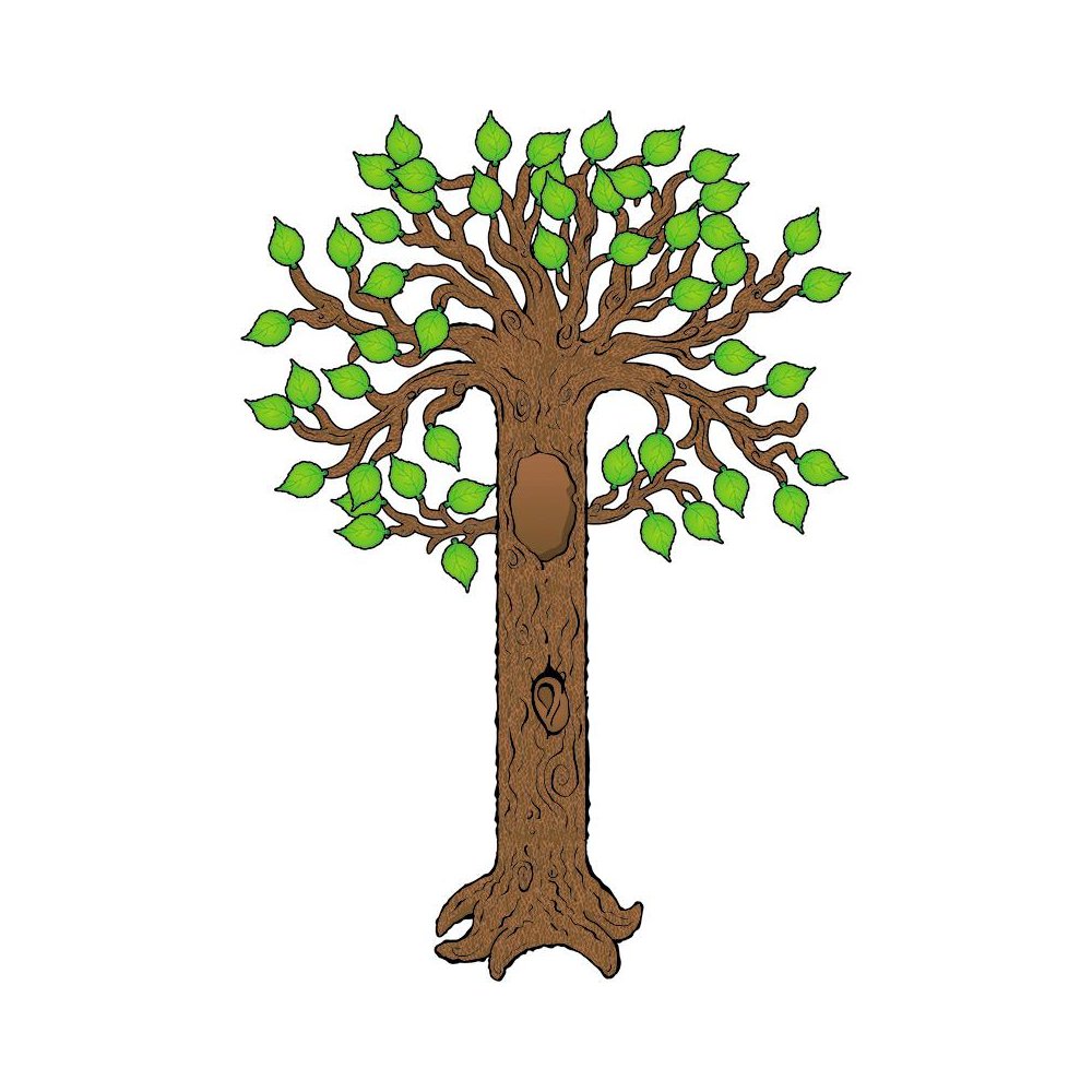 Big Tree Bulletin Board Set. Picture 2