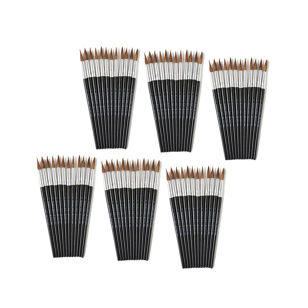 Water Color Paint Brushes with Round Pointed Tip, 12 Per Pack, 6 Packs. Picture 2