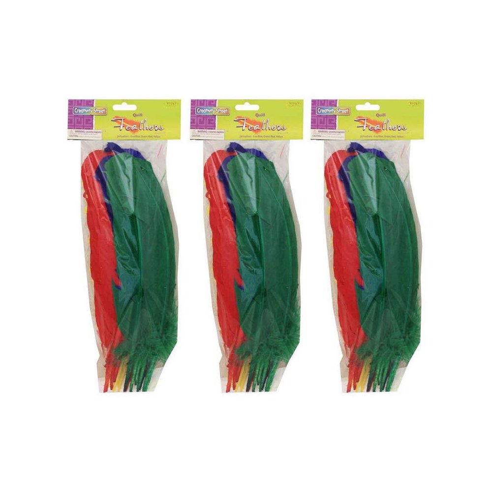 Quill Feathers, Assorted Colors, 12", 24 Per Pack, 3 Packs. Picture 2