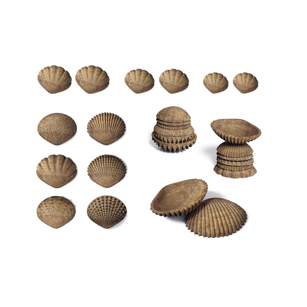 edxeducation Tactile Shells - Eco-Friendly - 36 Pieces. Picture 2