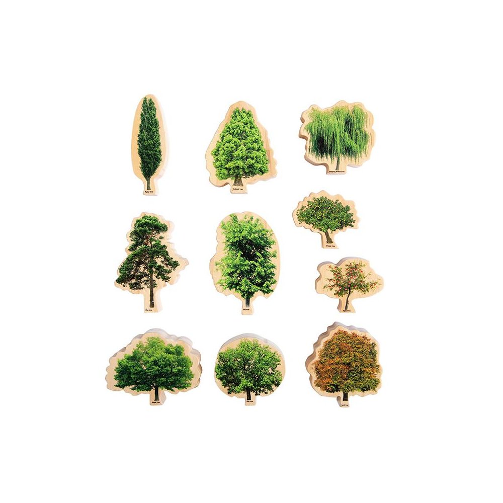 Learning Game Seasons Wooden Trees. Picture 2