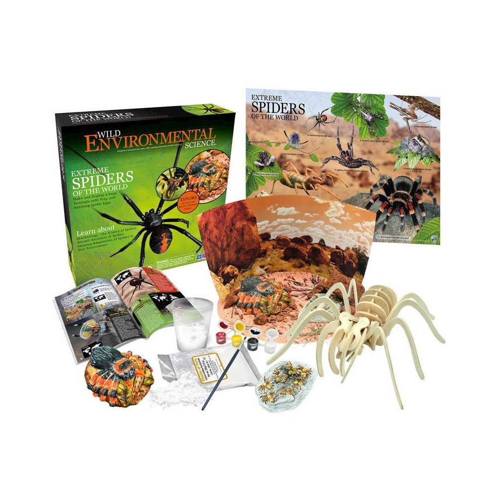 Extreme Spiders of the World - For Ages 6+. Picture 2