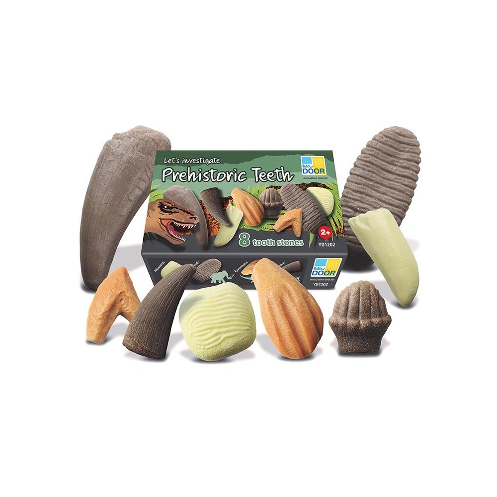 Let's Investigate – Prehistoric Teeth, Set of 8. Picture 2